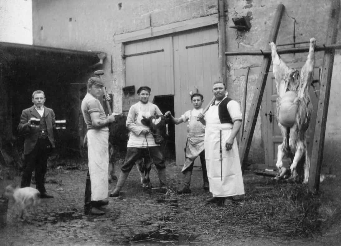 1910 Schlachtung bei Palms 1910 Schlachtung bei Palms